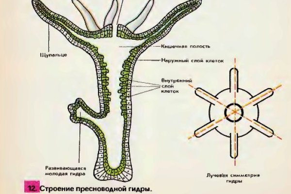 Кракен сайт продаж